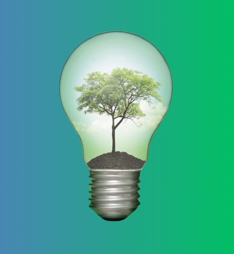 A Tree Growing in a lightbulb growing ideas